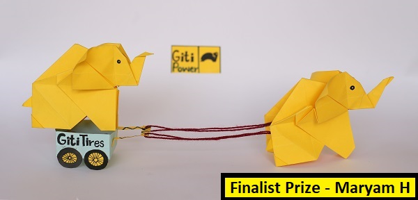 Maryam H – Pakistan